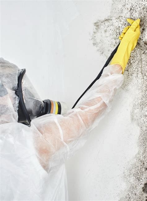 Crawl Space Mold Removal in Northern Virginia