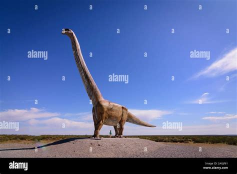 Patagotitan dinosaur hi-res stock photography and images - Alamy