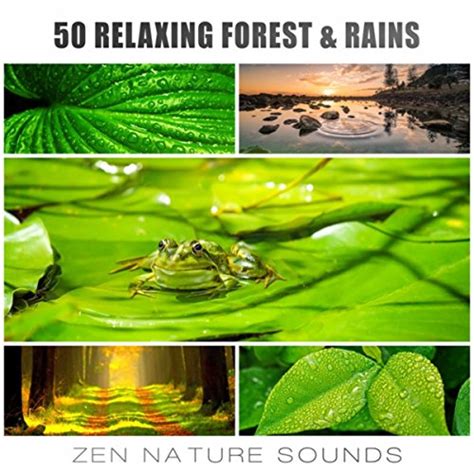 Spiele 50 Relaxing Forest & Rains: Zen Nature Sounds, Gentle Winds for Deep Sleep, Relaxation ...