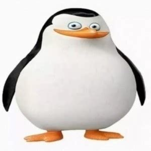 Create meme "the penguins of Madagascar Rico, penguins of Madagascar meme, the Madagascar ...