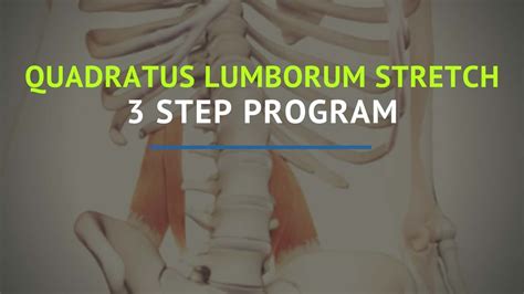 3 Step Quadratus Lumborum Stretch Program - Precision Movement