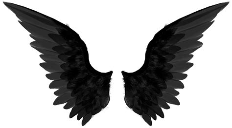 Black wings PNG
