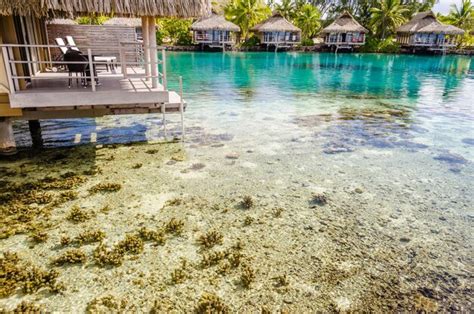 Premium Photo | Overwater bungalows french polynesia