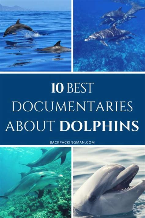 10 Best Documentaries About Dolphins To Watch