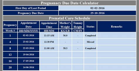 Download Prenatal Care Schedule Excel Template - ExcelDataPro