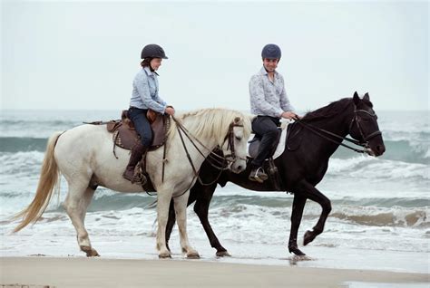 How to Ride a Horse that Spooks | LearningHorses.com