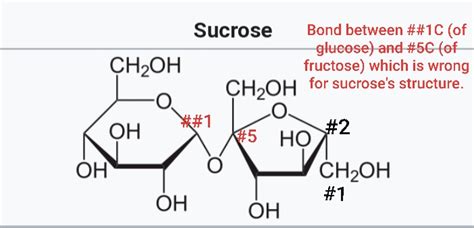 carbohydrates - Haworth projection of Sucrose - Chemistry Stack Exchange