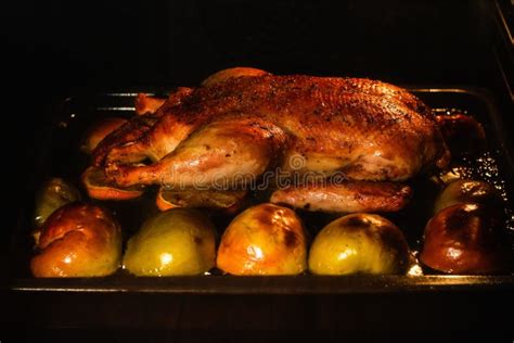 Roast Duck In The Oven Cooking In The Oven Stock Image - Image of baked ...