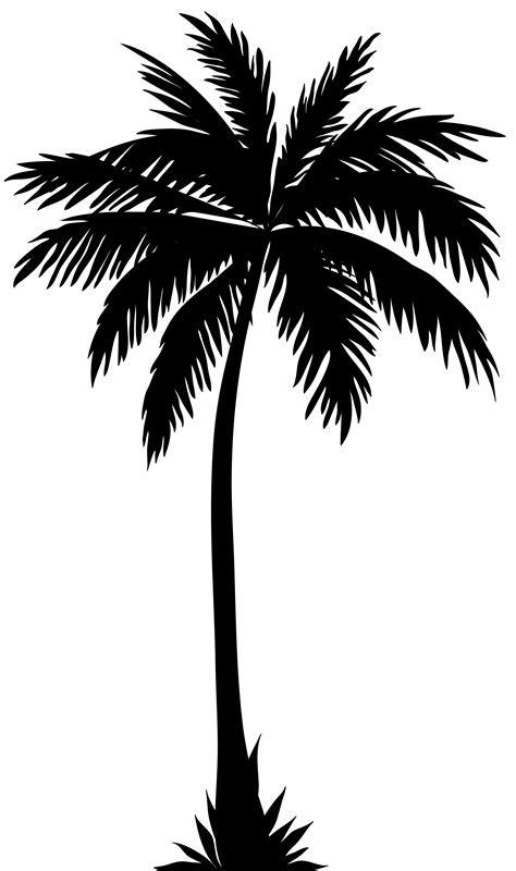 Palm Trees Silhouette Png Clip Art Image Palm Tree Cl - vrogue.co
