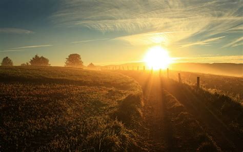 morning, Nature, Sun Rays, Landscape, Sunlight, Field Wallpapers HD / Desktop and Mobile Backgrounds