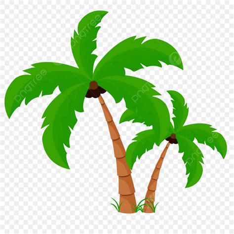 Coconut Tree Vector Design Images, Two Coconut Trees Png, Two Coconut Trees, Coconut Tree Png ...