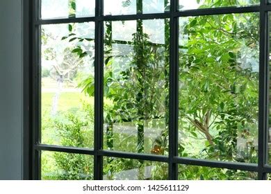 Clear Glass Window Green Garden Outside Stock Photo 1425611129 | Shutterstock
