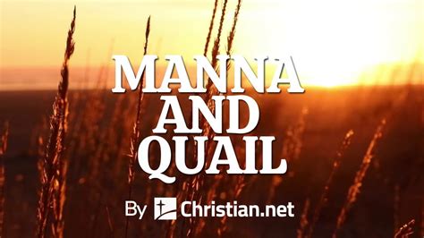 Exodus 16: Manna and Quail | Bible Stories - YouTube