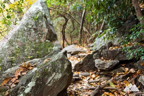 Blood Mountain: hiking the Appalachian Trail from Neels Gap