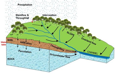 Drainage Basins