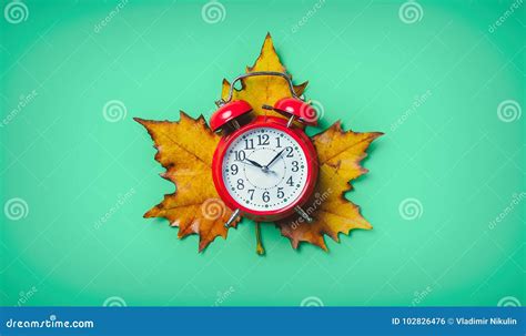 Vintage Alarm Clock and Maple Leaf Stock Photo - Image of object, time: 102826476
