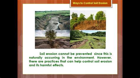 Ways to Control Soil Erosion - YouTube