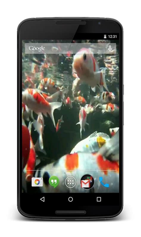 Koi HD Video Live Wallpaper APK for Android - Download