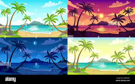 Daytime beach landscape. Sunny day seascape, night ocean and sunset beach cartoon vector ...