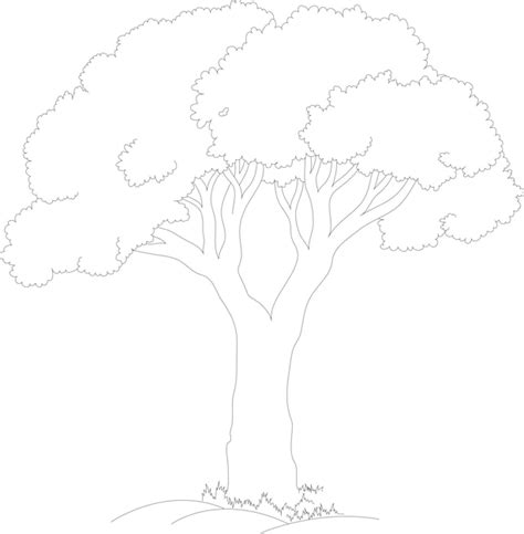 Premium Vector | Tree outline vector illustration