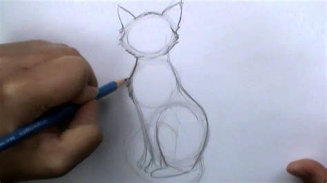 How to draw a basic cat sitting – HousePetsCare.com