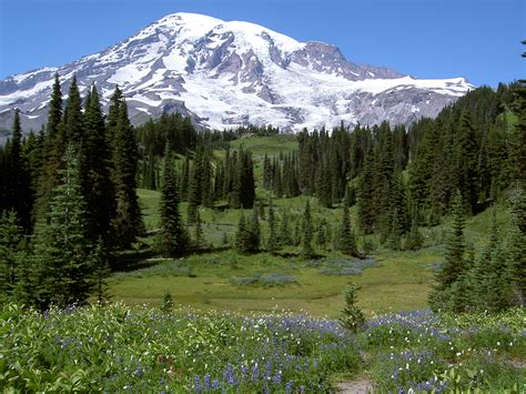 Mount Rainier National Park