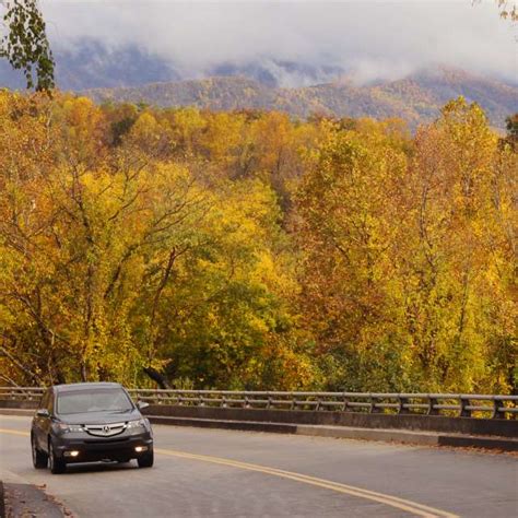 Fall Activities in Asheville | Color Reports & Scenic Drives | Asheville, NC's Official Travel Site