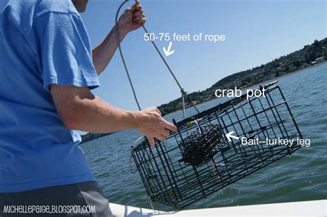 michelle paige blogs: Let's Go Crabbing!