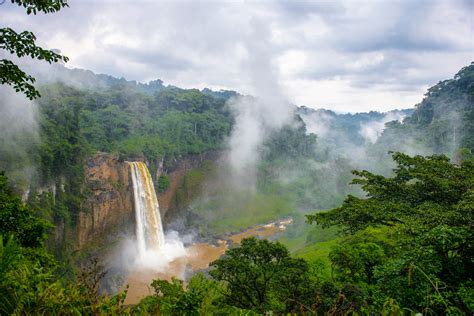 Chinese Agro Industries at the Heart of Massive Deforestation and Land ...