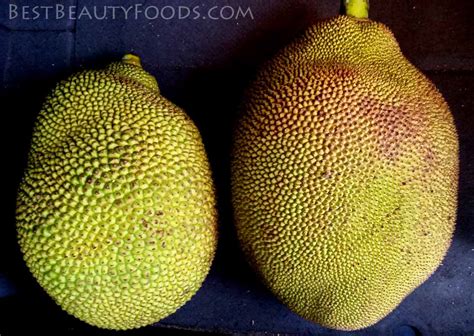 Jackfruit Tree | Best Beauty Foods