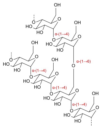 Dextrin - Wikipedia