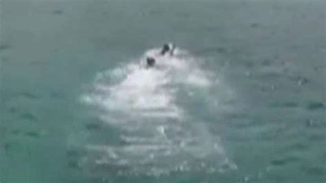 Video: Plane crash survivors swim to shore in Hawaii | Fox News Video