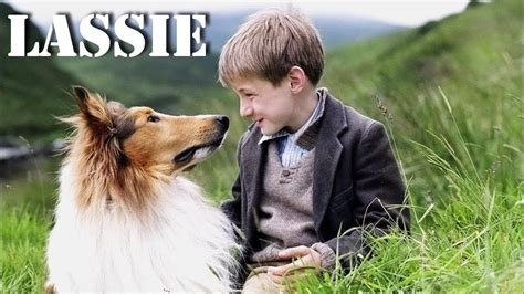 Lassie (pelicula completa en español latino ) - YouTube