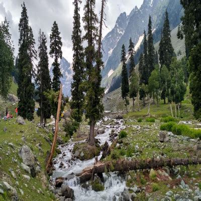 Sonmarg - History, Sightseeing, Things To Do, How to Reach | Adotrip