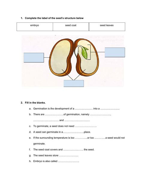 seed germination 574157 | mohdrafais | LiveWorksheets