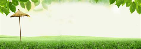 Green Nature Banner Background, Green, Natural, Leaves Background Image ...