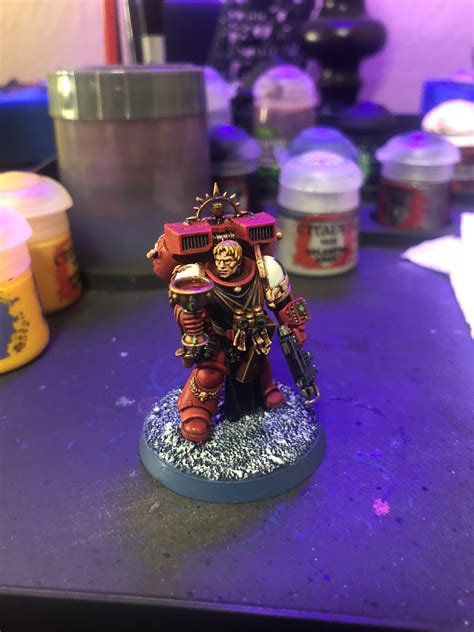 Finished my Sanguinary Priest : r/BloodAngels