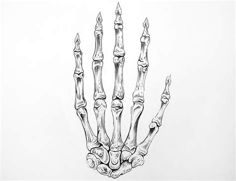 How to Draw a Skeleton Hand - Creepy Bone Hand Drawing Steps (2022)