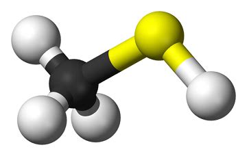 Mercaptan - Energy Education