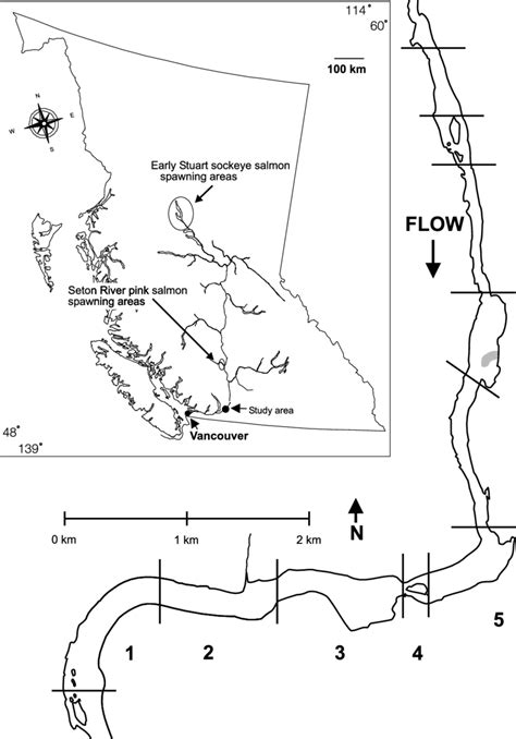 Map of Fraser River Canyon indicating the nine study reaches... | Download Scientific Diagram