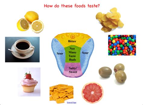 sense of taste activities | do an experiment like a taste test where the students taste ...