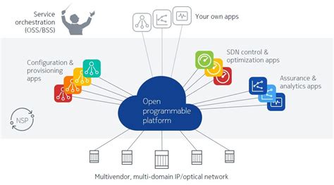 Nokia Network Services Platform NSP - LightRiver Companies