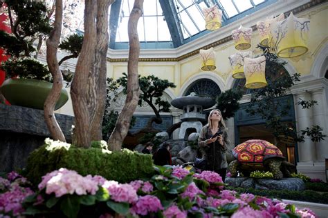 Bellagio Conservatory welcomes spring — PHOTOS | The Strip | Local