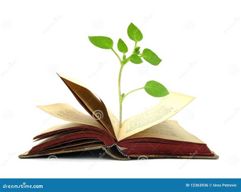 Books Old Vintage With Plant Growing From It Royalty Free Stock Image - Image: 12363936