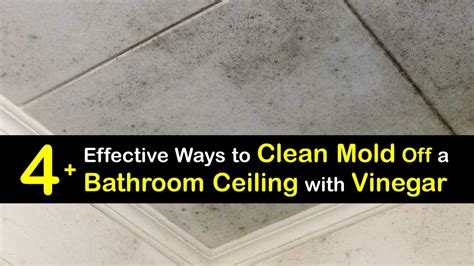 Bathroom Ceiling Cleaning - Getting Mold Off Ceilings with Vinegar