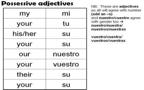 Worksheet 2 Possessive Adjectives Spanish Answers — db-excel.com