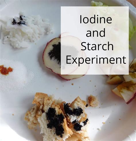 100 Days of Science #53-- Iodine and Starch Experiments