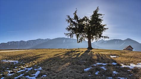 4K Screensaver - Hoh Rain Forest 4k Tv Screensavers With Relaxing Piano Music 3 Hrs Part 14 ...