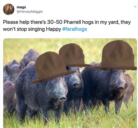 Feral Hog Remix ft. Pharrell | 30-50 Feral Hogs | Know Your Meme