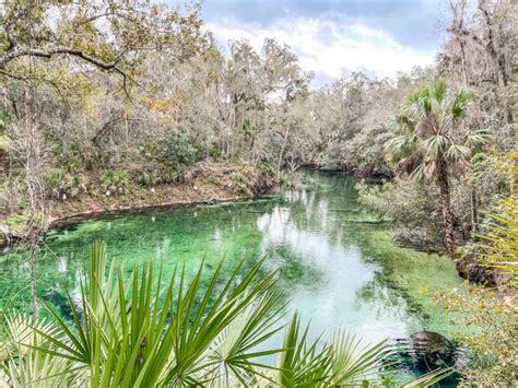 Meet the Manatees at Blue Spring State Park: Travel guide - Fernwehrahee